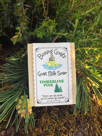 Timberline Pine Soap
