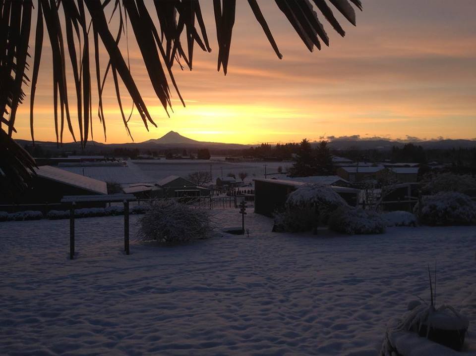 From our family to yours