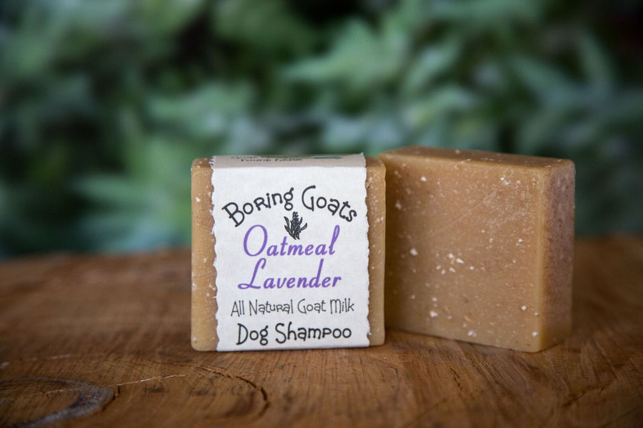 Oatmeal Lavender Dog Shampoo
